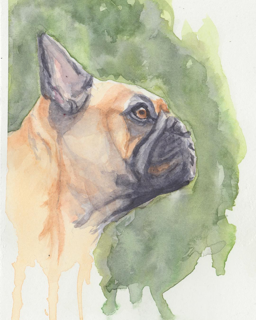 Random Frenchie :) - Watercolors